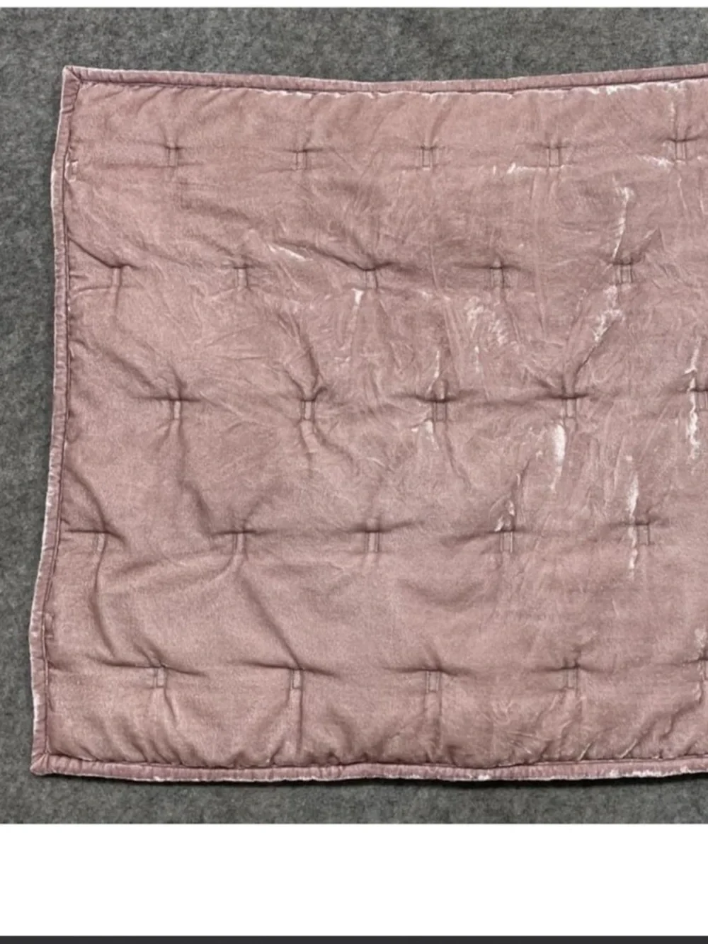 3 West Elm Euro Velvet Shams